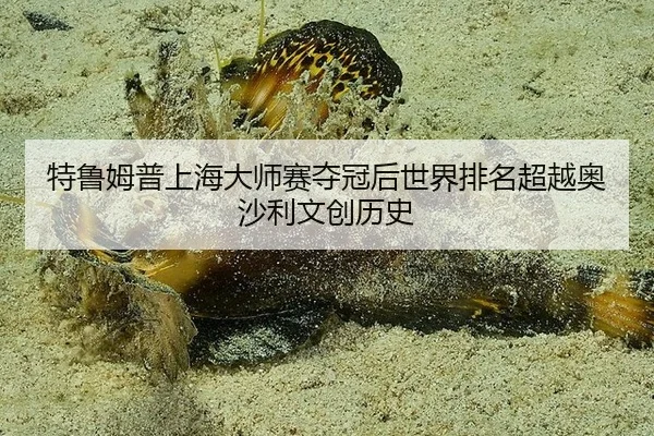 te-lu-mu-pu-shang-hai-da-shi-sai-duo-guan-hou-shi-jie-pai-ming-chao-yue-ao-sha-li-wen-chuang-li-shi-2-261.jpg